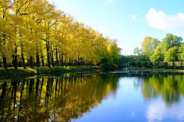 Fototapeta na wymiar Herbst Landschaft mit See und Bäumen