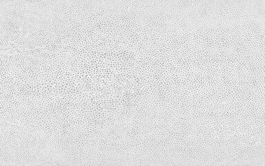 Fototapeta na wymiar Abstract white shagreen stingray skin texture