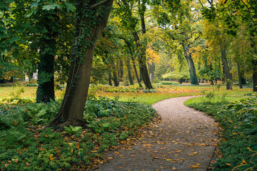 Piękny jesienny park w Warszawskich łazienkach Królewskich 