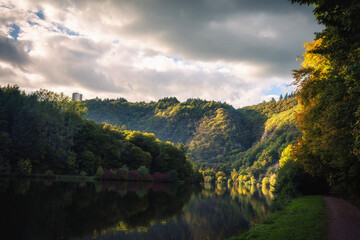 Obraz premium Enchanted Lovely Autumn Forest in the Fall of Saarland in Germany, Europe