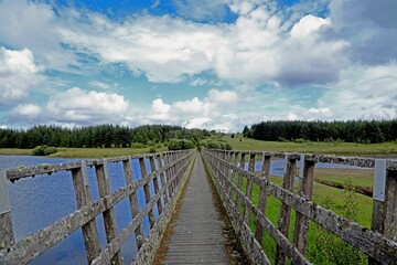 Old wooden bridge over a river under a cloudy sky with a forest in the background © Ryan Ankers/Wirestock Creators