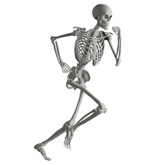skeleton posing 3d render illustration