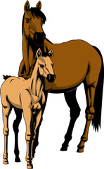 Realistic Cartoon Mare And Foal Horse. Vector Hand Drawn Illustration Isolated On Transparent Background