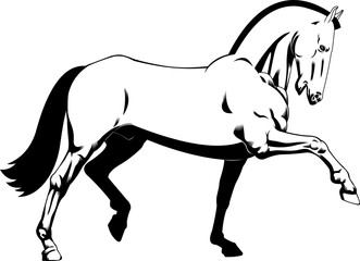 Outlined Beautiful Cartoon Horse Silhouette Running. Vector Hand Drawn Illustration Isolated On Transparent Background