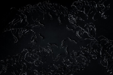 Black centipede and fern on dirty dark background