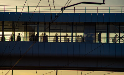 Silhouettes of pedestrians in a pedestrian crosswalk on an autumn evening.