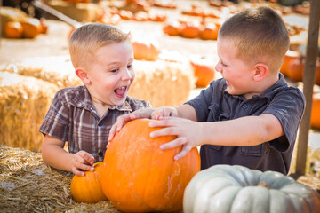 Fototapeta premium Two Boys at the Pumpkin Patch Talking and Having Fun.