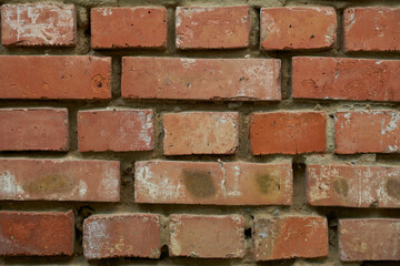 Fototapeta premium close-up of red brick wall