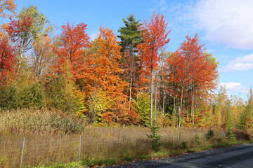 North america fall landscape eastern townships Bromont Quebec province Canada