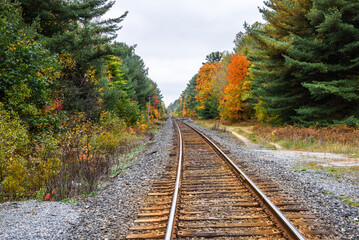 Obraz premium Empty railway tracks through a forest on a cloudy autumn day. A switch is visible in distance.