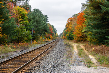 Fototapeta premium Railroad tracks through a forest on a cloudy fall day. A switch is visible in distance. Autumn colours.