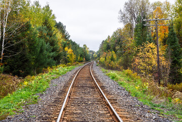 Obraz premium Winding railroad through a forest on an overcast autumn day