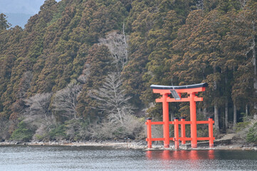 芦ノ湖のフェリーに乗って見える神社の鳥居