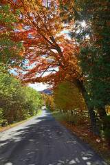 North america fall landscape eastern townships Bromont Quebec province Canada