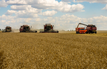 The battle for the harvest in Russia, combines and other agricultural machinery lined up in the diagonal for the harvest of wheat and other grains