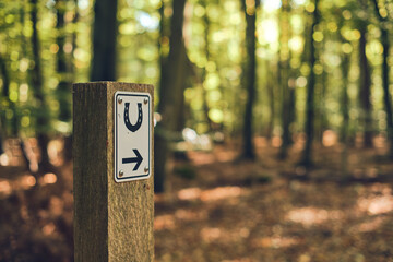 Riding path sign in the woods with directions. High quality photo