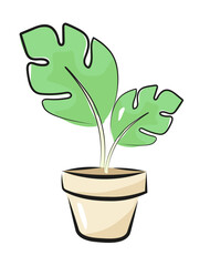 Monstera ilustracja © Monika Janiak-Klicha