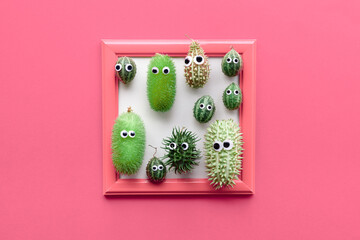 Handmade natural monsters with googly eyes made from natural spiky deco fruits in square frame on...