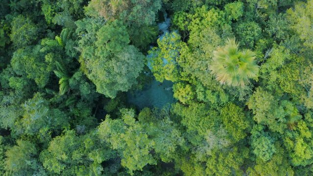 Fervedouro buriti no Jalap&atilde;o com uma mulher mergulhando em zenital.