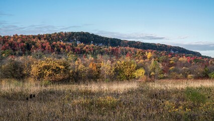 Niagara Escarpment during autumn in Milton, Ontario,Canada
