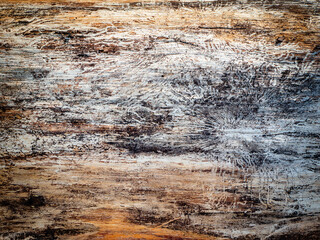 Old grunge wooden texture with insect paths on it. Timber texture