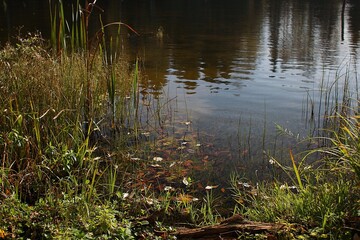 Waterside of river in autumn colors