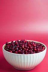 White bowl of red berries