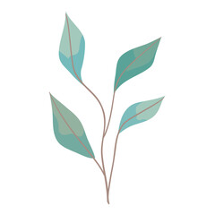 green leafs plant foliage