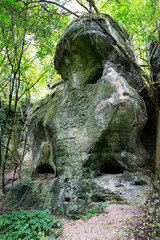 Fototapeta na wymiar Protected landscape area with sandstone Rocks and green Nature in the Central Bohemia, Harasov, Kokorinsko, Czech Republic