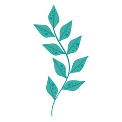 green seaweed branch © Gstudio