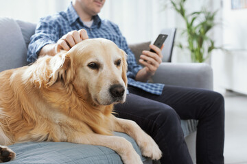 Man chatting with his phone and caressing his dog