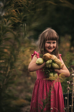 little girl harvesting tomato in the vegetable garden