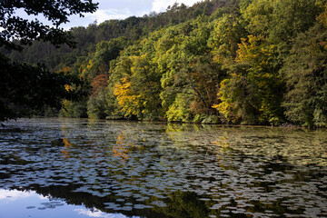 Protected landscape area with sandstone Rocks and green Nature in the Central Bohemia, Harasov, Kokorinsko, Czech Republic