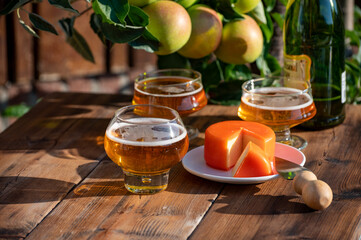 Food and drink pairing, apple cider produced on organic farm from bio apples in Normandy, France and cheddar cheese from England