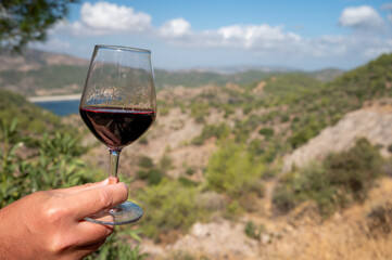 Tasting of red wine on vineyards of Cyprus. Wine production on Cyprus, tourists wine route.