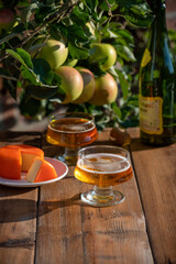Food and drink pairing, apple cider produced on organic farm from bio apples in Normandy, France...