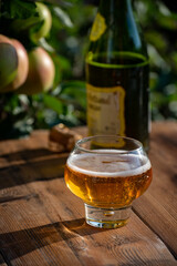 Making and tasting of fresh apple cider produced on organic farm from bio apples in Normandy, France