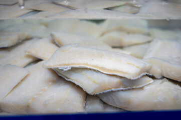 White salted and dried bacalao codfish is watertank, traditional Spanish food on display in fish shop