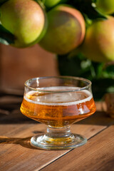 Making and tasting of fresh apple cider produced on organic farm from bio apples in Normandy, France
