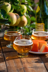 Food and drink pairing, apple cider produced on organic farm from bio apples in Normandy, France and cheddar cheese from England