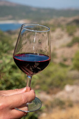 Tasting of red wine on vineyards of Cyprus. Wine production on Cyprus, tourists wine route.