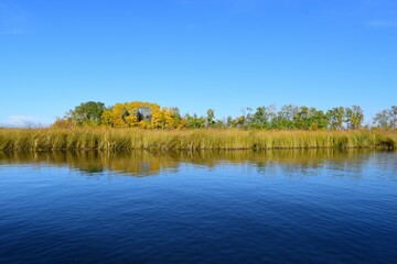 Waterscape with fall shore