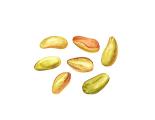 Watercolor pistachio nuts isolated.