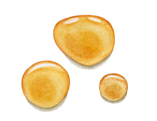 Watercolor honey drops isolated.