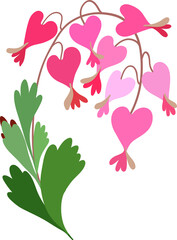 Bleeding hearts. Dicentra flower bouquet with leaves. 