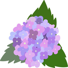 Hydrangea. Bright cartoon flower with green leaves. 