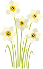 Yellow daffodils bouquet. Early garden flowers. A bouquet of spring blooming narcissus flowers.