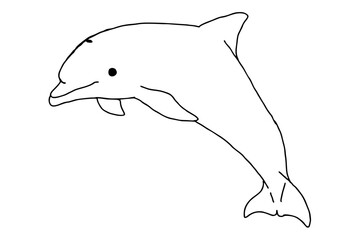 Obraz premium Sea Animal - Dolphin Line Art Vector