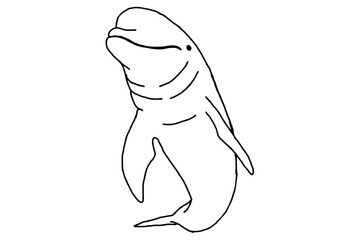 Sea Animal - Dolphin Line Art Vector