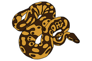 Snake - Python Vector